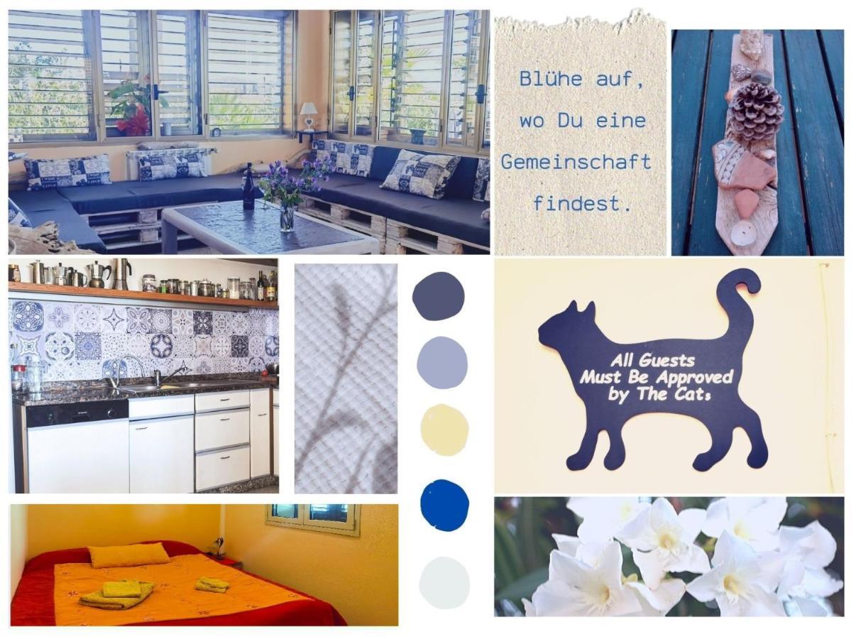 Eco Hostel Vela Vega Butera Εξωτερικό φωτογραφία